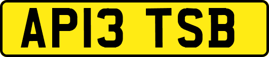 AP13TSB