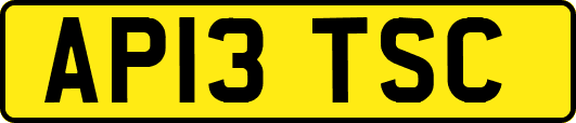 AP13TSC