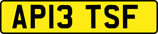 AP13TSF