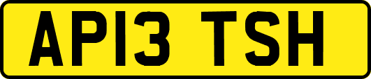 AP13TSH