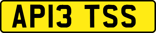 AP13TSS