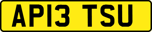 AP13TSU
