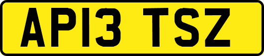 AP13TSZ