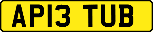 AP13TUB