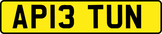 AP13TUN