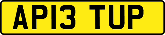 AP13TUP