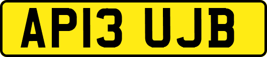AP13UJB