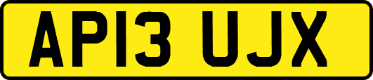 AP13UJX