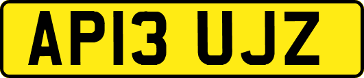 AP13UJZ