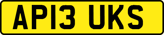 AP13UKS