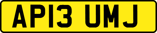 AP13UMJ