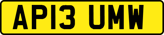 AP13UMW