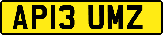 AP13UMZ