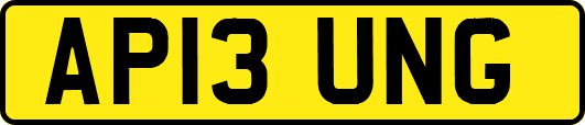 AP13UNG