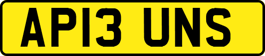 AP13UNS