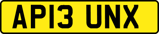 AP13UNX