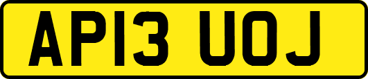AP13UOJ