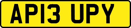 AP13UPY