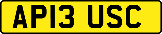 AP13USC