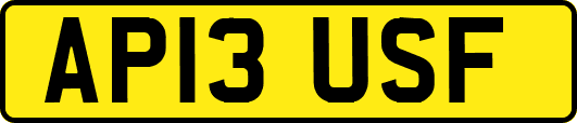 AP13USF
