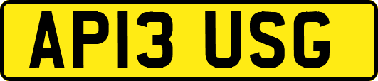 AP13USG