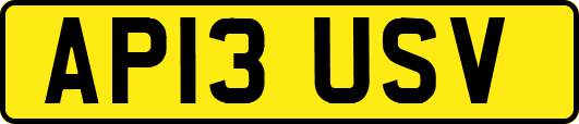 AP13USV