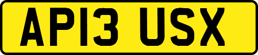 AP13USX