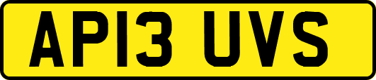 AP13UVS