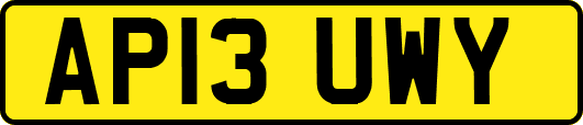 AP13UWY