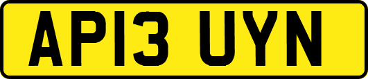 AP13UYN