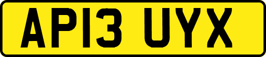 AP13UYX