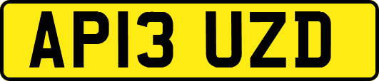 AP13UZD