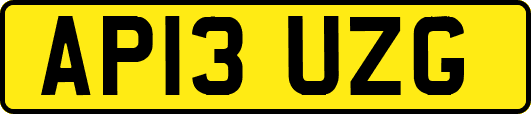 AP13UZG