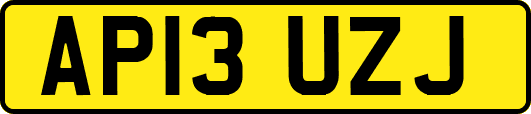 AP13UZJ