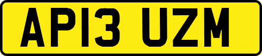 AP13UZM