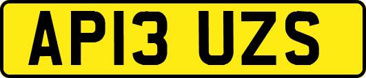 AP13UZS