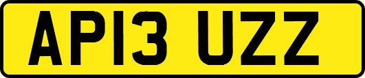 AP13UZZ