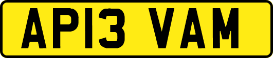 AP13VAM