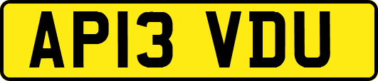 AP13VDU