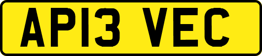 AP13VEC