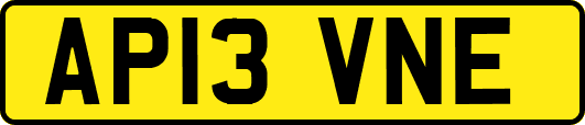 AP13VNE