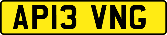 AP13VNG
