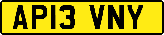 AP13VNY