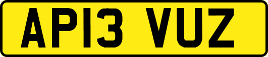 AP13VUZ