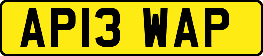 AP13WAP