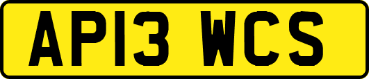 AP13WCS