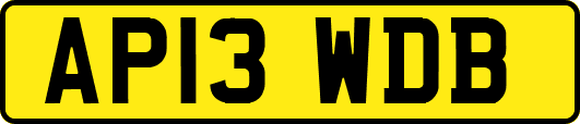 AP13WDB