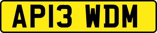 AP13WDM