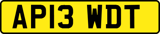 AP13WDT