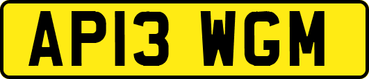 AP13WGM
